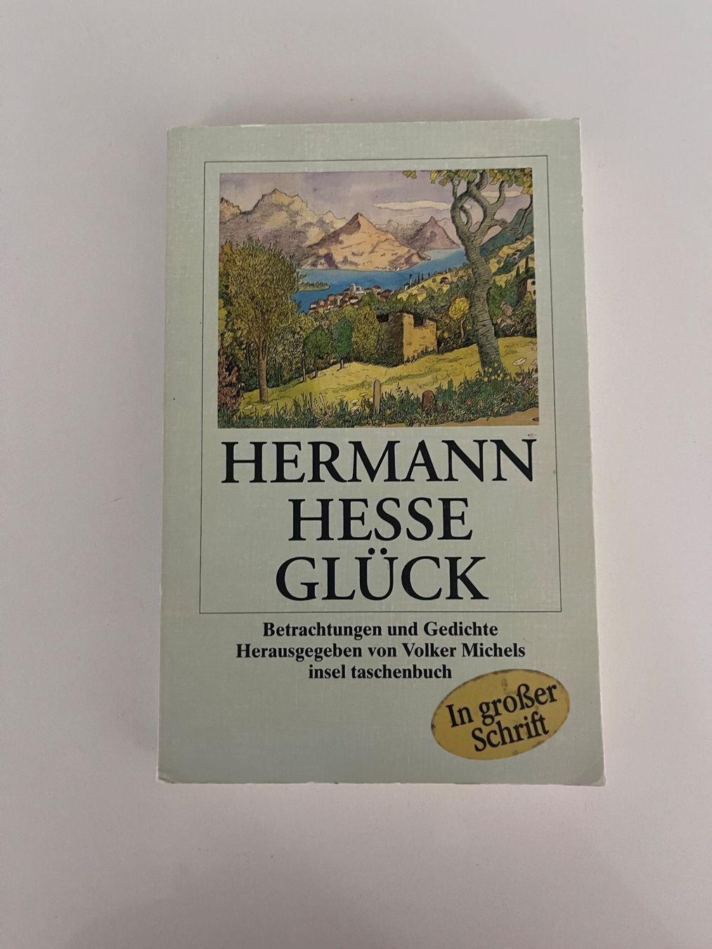 Libri: Hermann Hesse - Glück – Usato da Horgen venduto da secondhandfirstclass