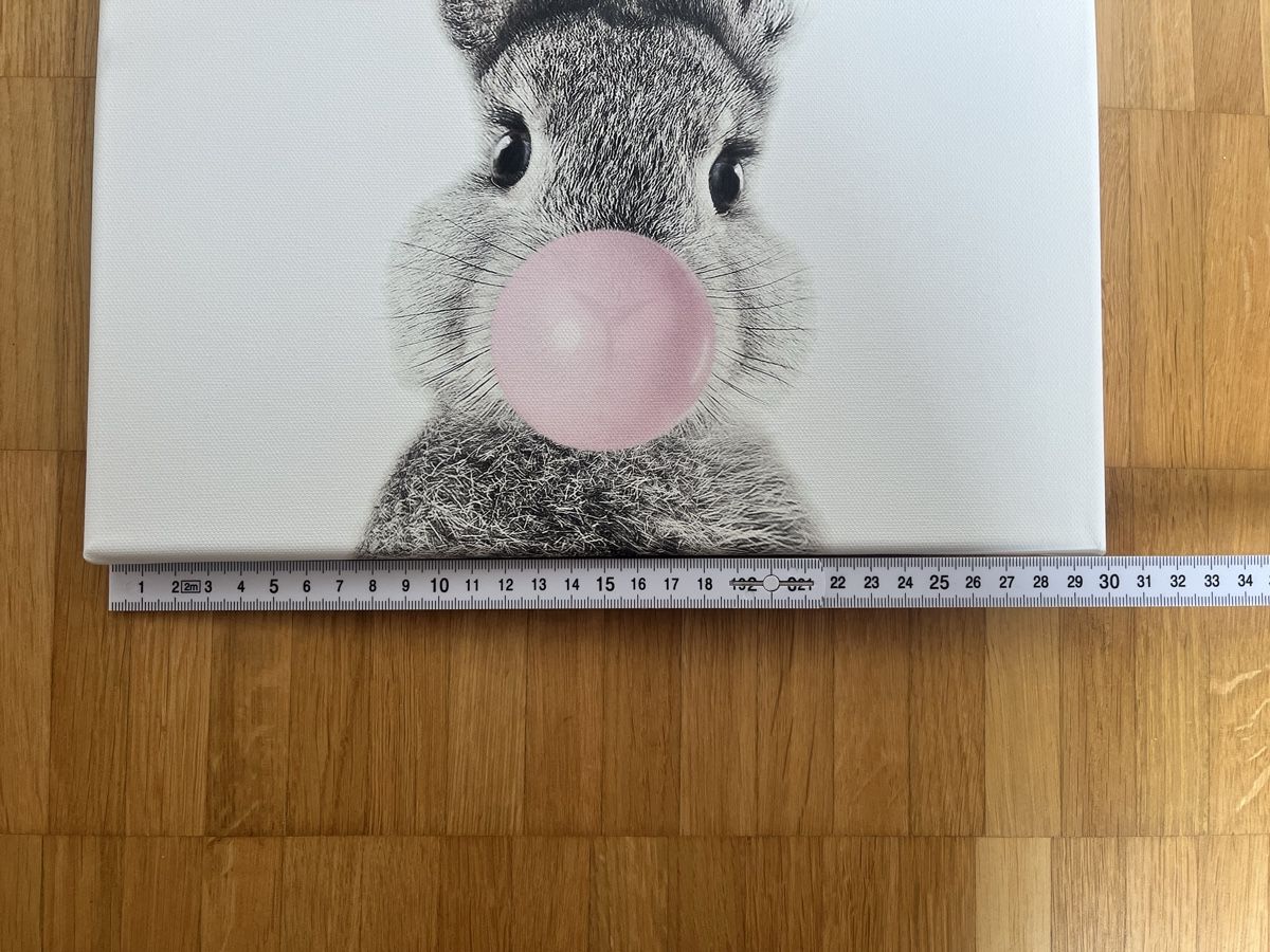 Foto & Immagini: Leinwand-Bilder Tiere, 30 x 30 cm – Usato da Dättwil AG venduto da Janine_12345 4