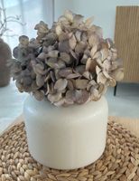 Neue Vase