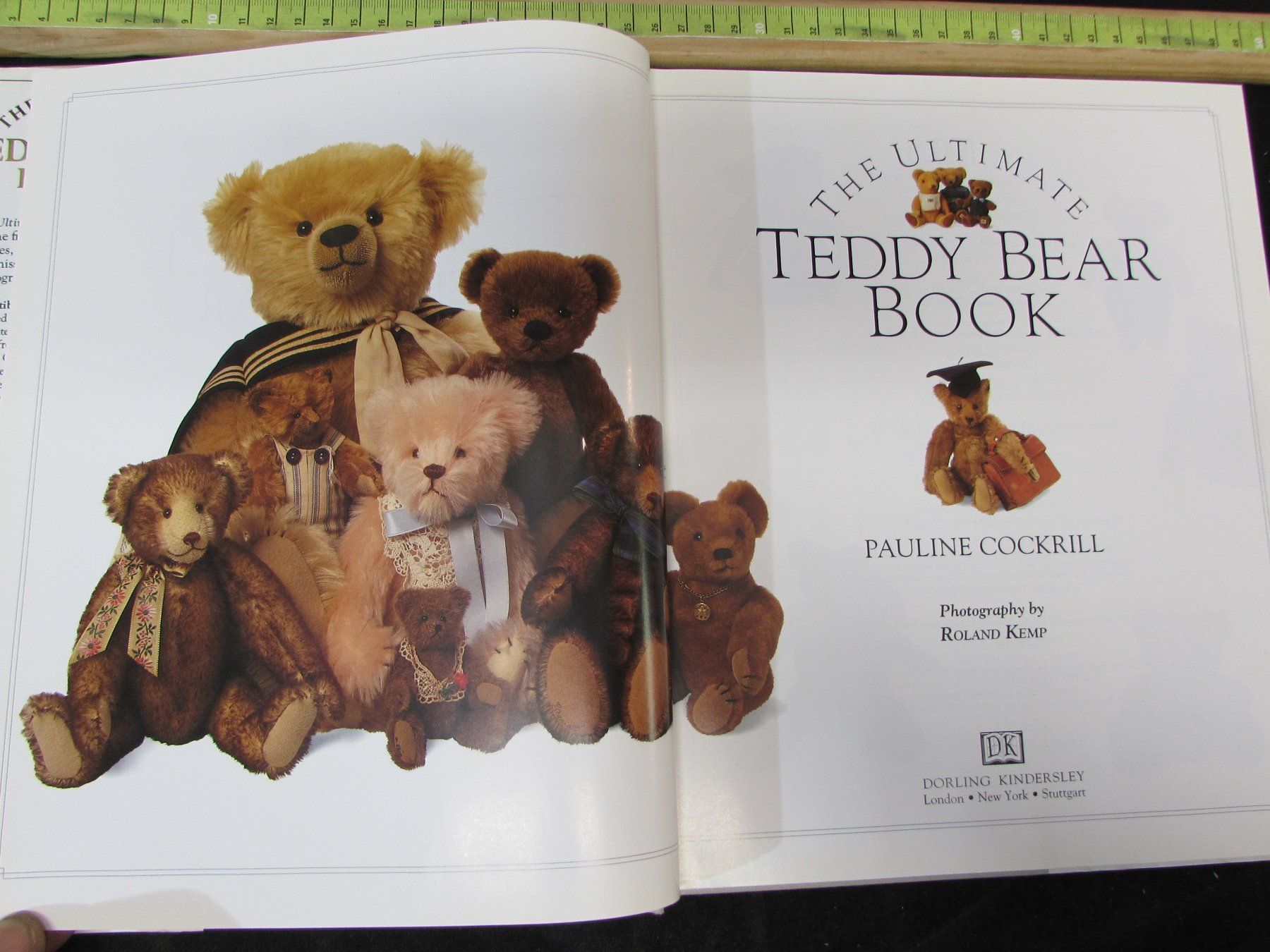 Bücher: Teddy-Bär sammeln – Gebraucht aus Walchwil von Shells1 6