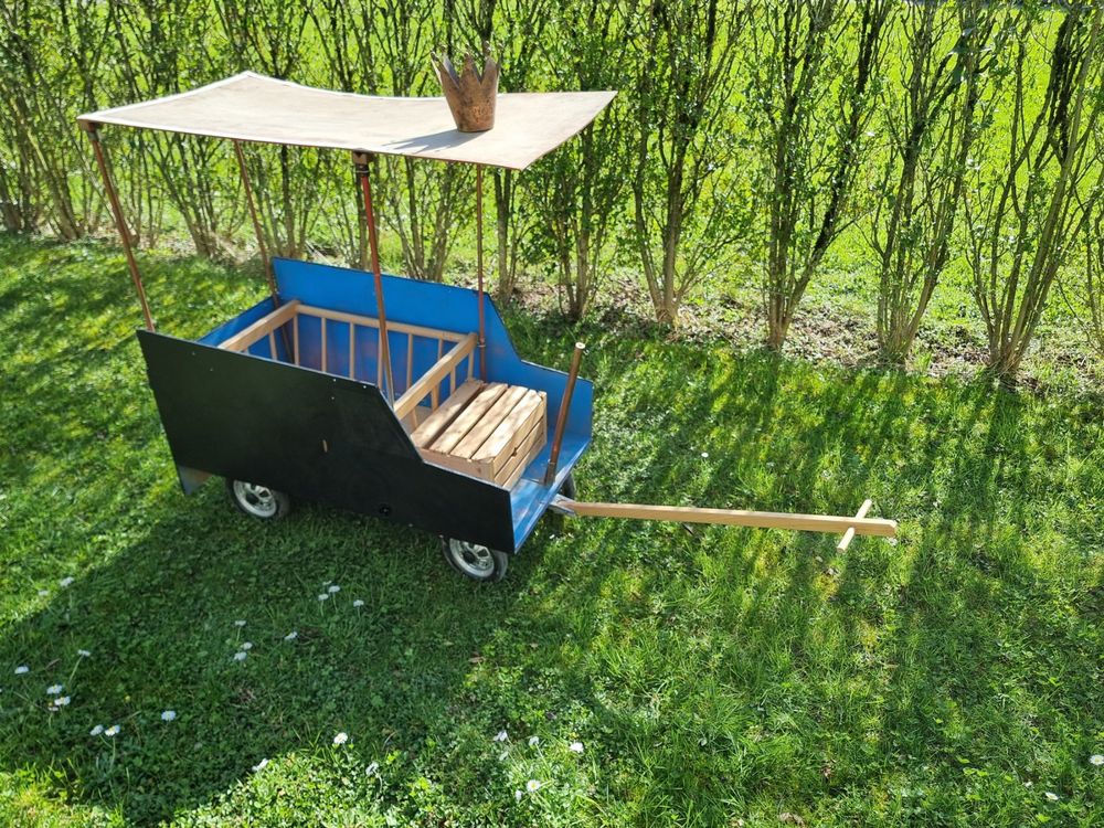 Leiterwagen (ideal zum Spielen oder für die Fasnacht) | Kaufen auf Ricardo