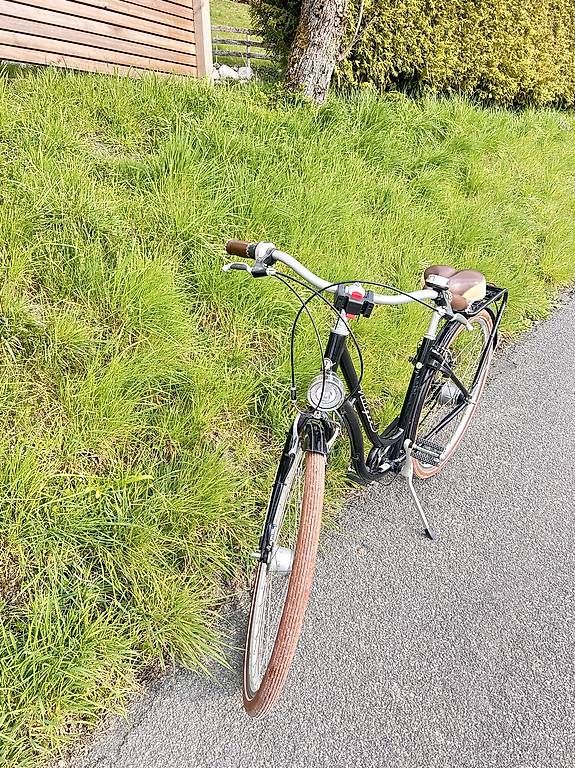 Villiger Biciclette: Villiger Chur Damenvelo – Usato da Oberösch venduto da Neo_07 1