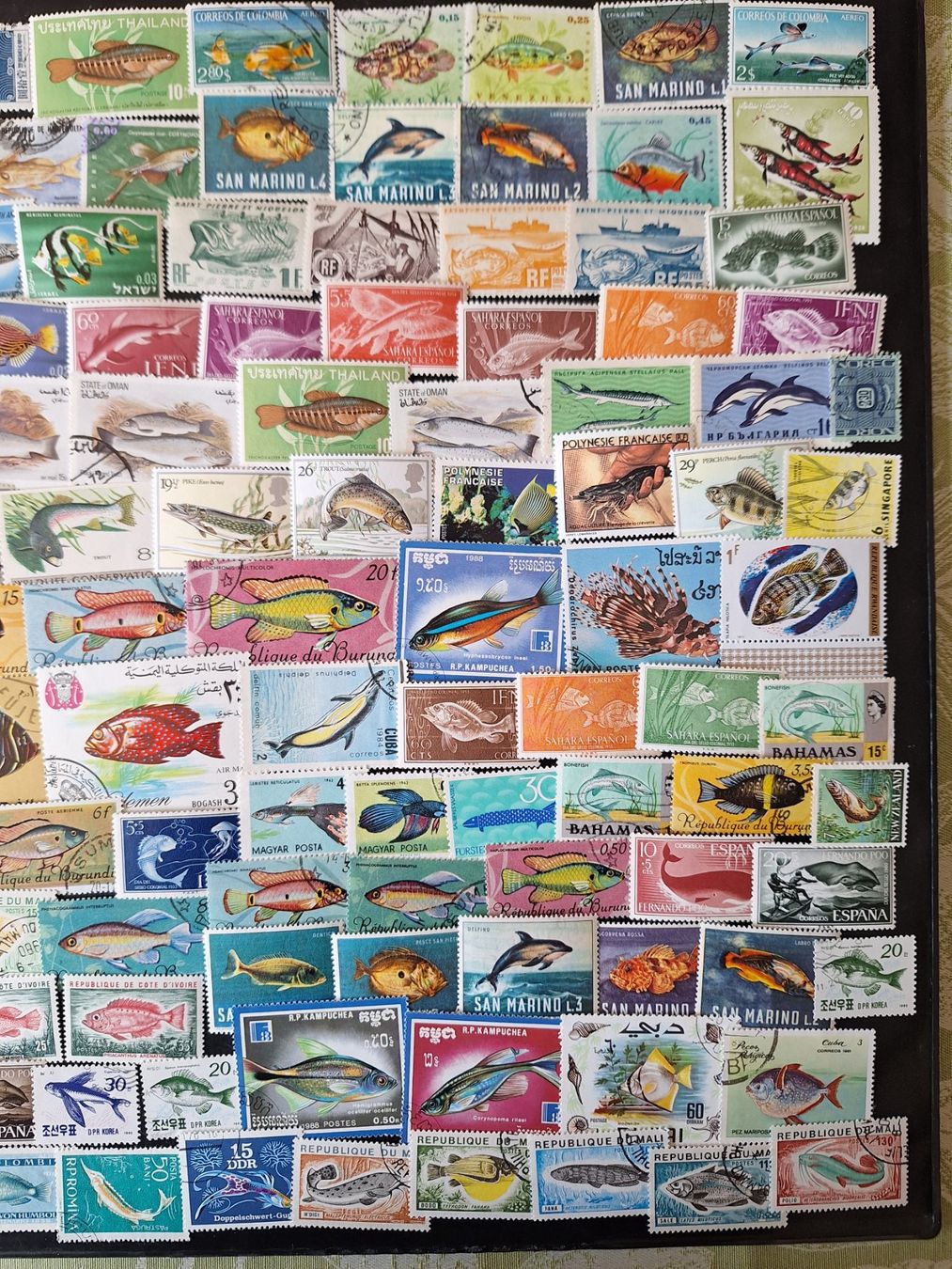Tutti i francobolli: Grosse Fische und Meer-Sammlung – Usato da Genolier venduto da Antoine30 3