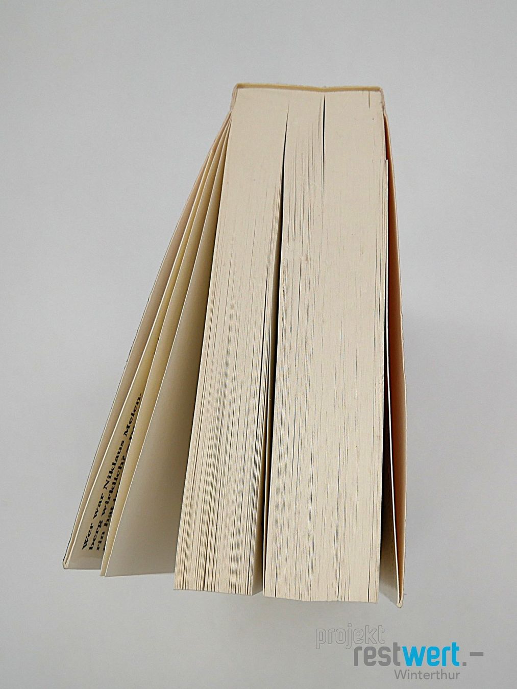 Libri: ALINE GRAF - Niklaus Meienberg – Usato da Winterthur venduto da Restwert_Winterthur 7