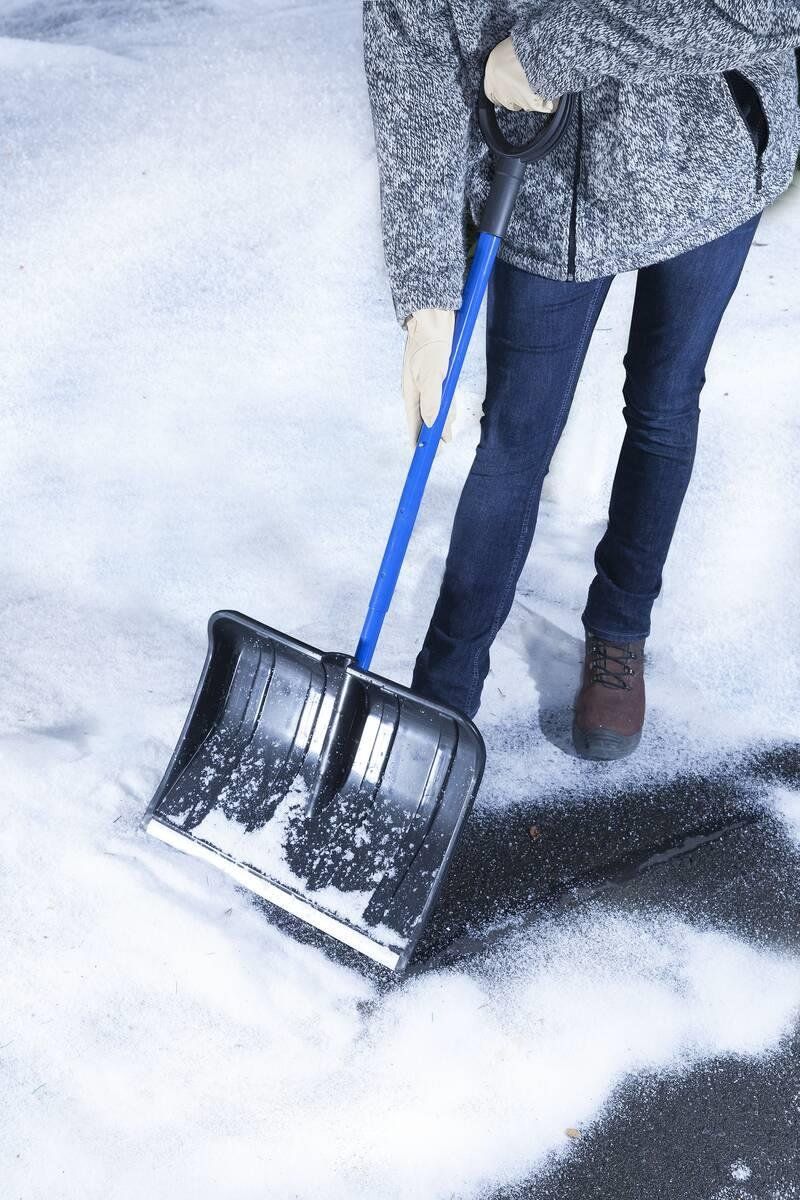 Westfalia Tutti gli attrezzi: Schneeschaufel teleskopierbar – Nuovo e nell'imballaggio originale da Koppigen venduto da Bracher_Mail-House 2