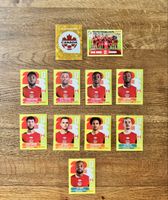 Panini WM Sticker Kanada 2026 - Top Zustand, Sammlung 🇨🇦⚽️