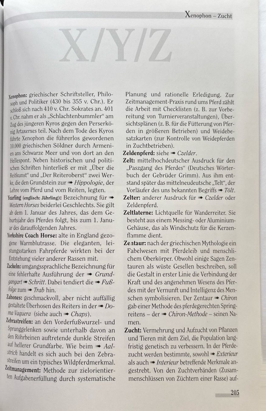 Libri: Freizeitreiten von A-Z – Nuovo e nell'imballaggio originale da Sarnen venduto da Livres 6