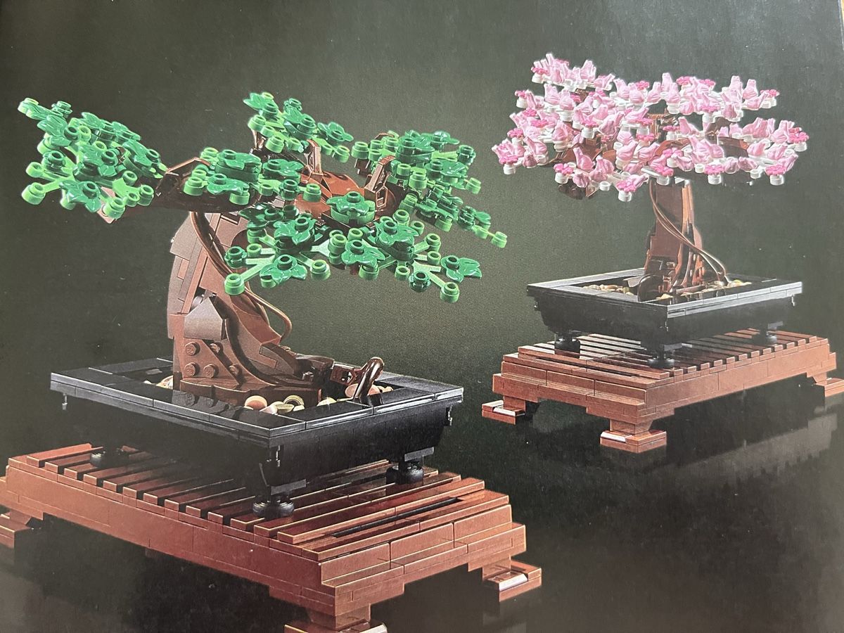 Lego Jeux de construction: LEGO Bonsai Baum – D'occasion à Zürich par beerlic 1