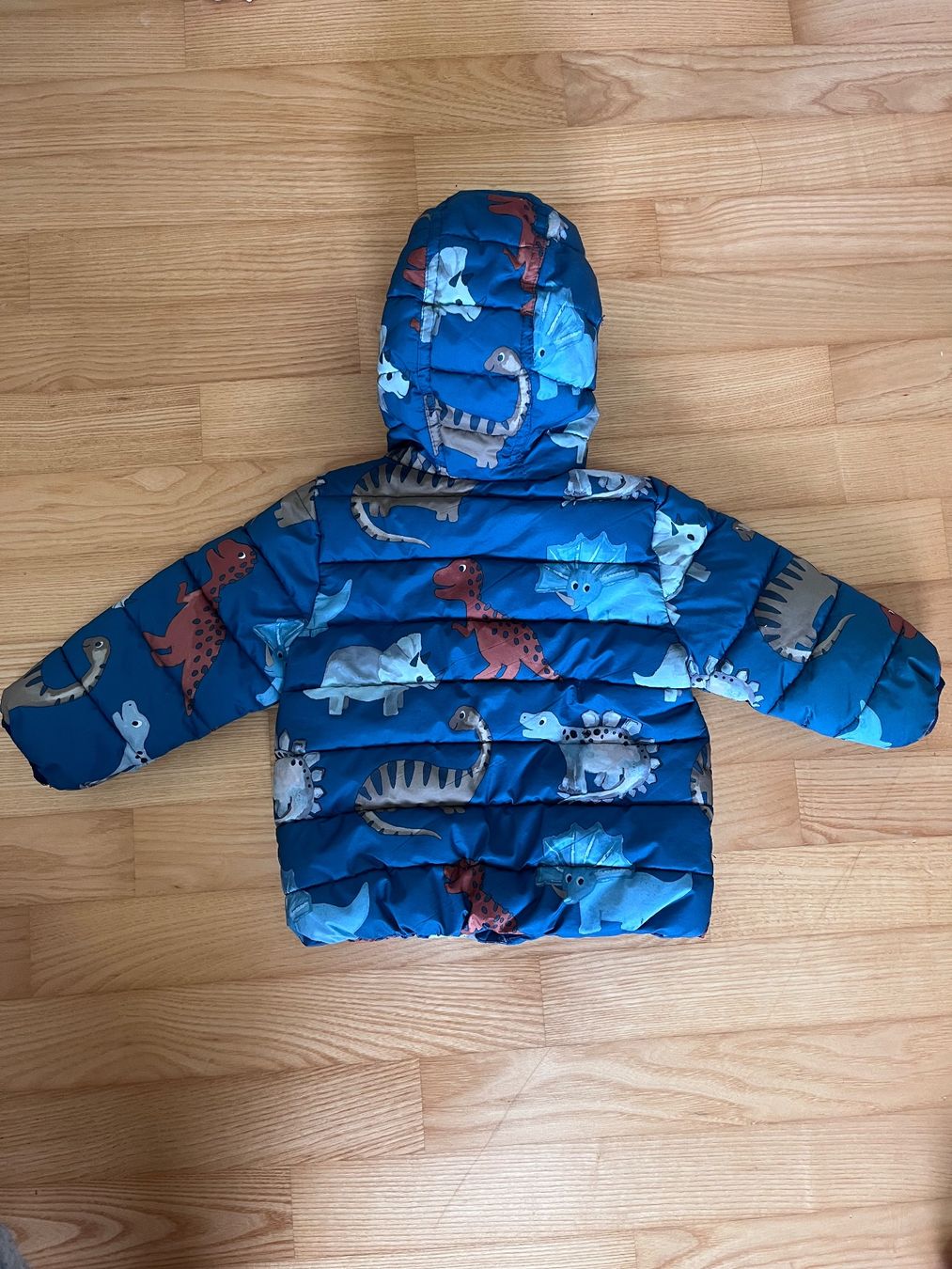 Jacken & Mäntel: Süsse Dino-Jacke in Grösse 80 – Gebraucht aus Riedholz von Charlie_2007 1