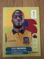 Carte panini 2026