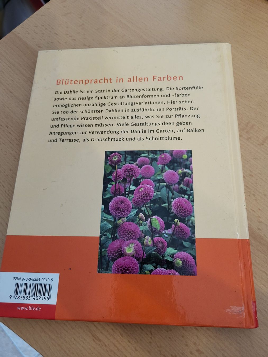 Libri: Garten/ Dahlien – Nuovo (secondo la descrizione) da Brugg AG venduto da pinussoap 1