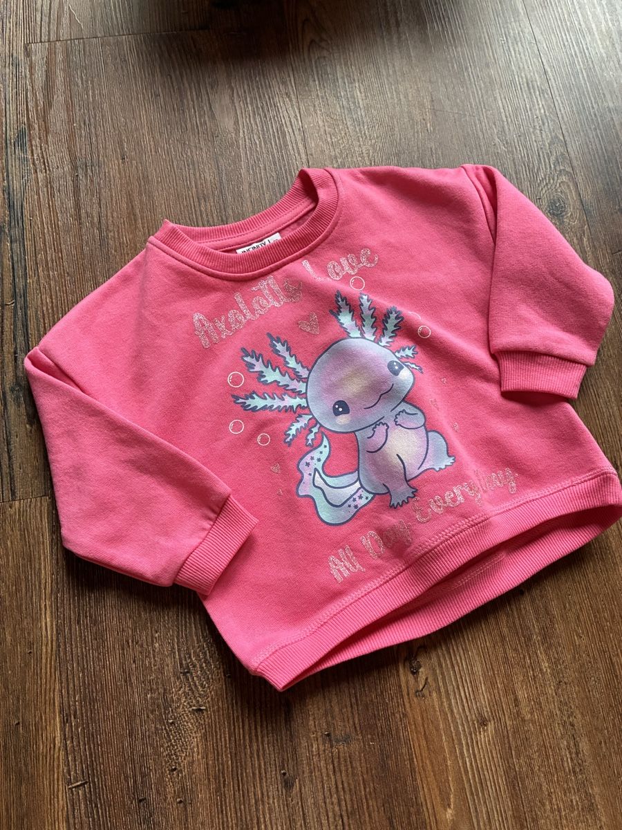 Pullover & Sweatshirts: Schöner Axolotl Pullover Gr. 92, Neu – Neu (gemäss Beschreibung) aus richterswil von lunamarie001