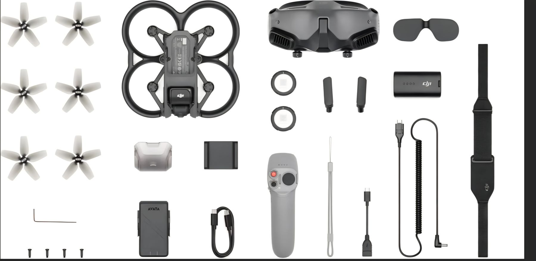 DJI Modellismo RC: DJI Avata Pro-View Combo – Nuovo (secondo la descrizione) da Zürich venduto da nicofrei