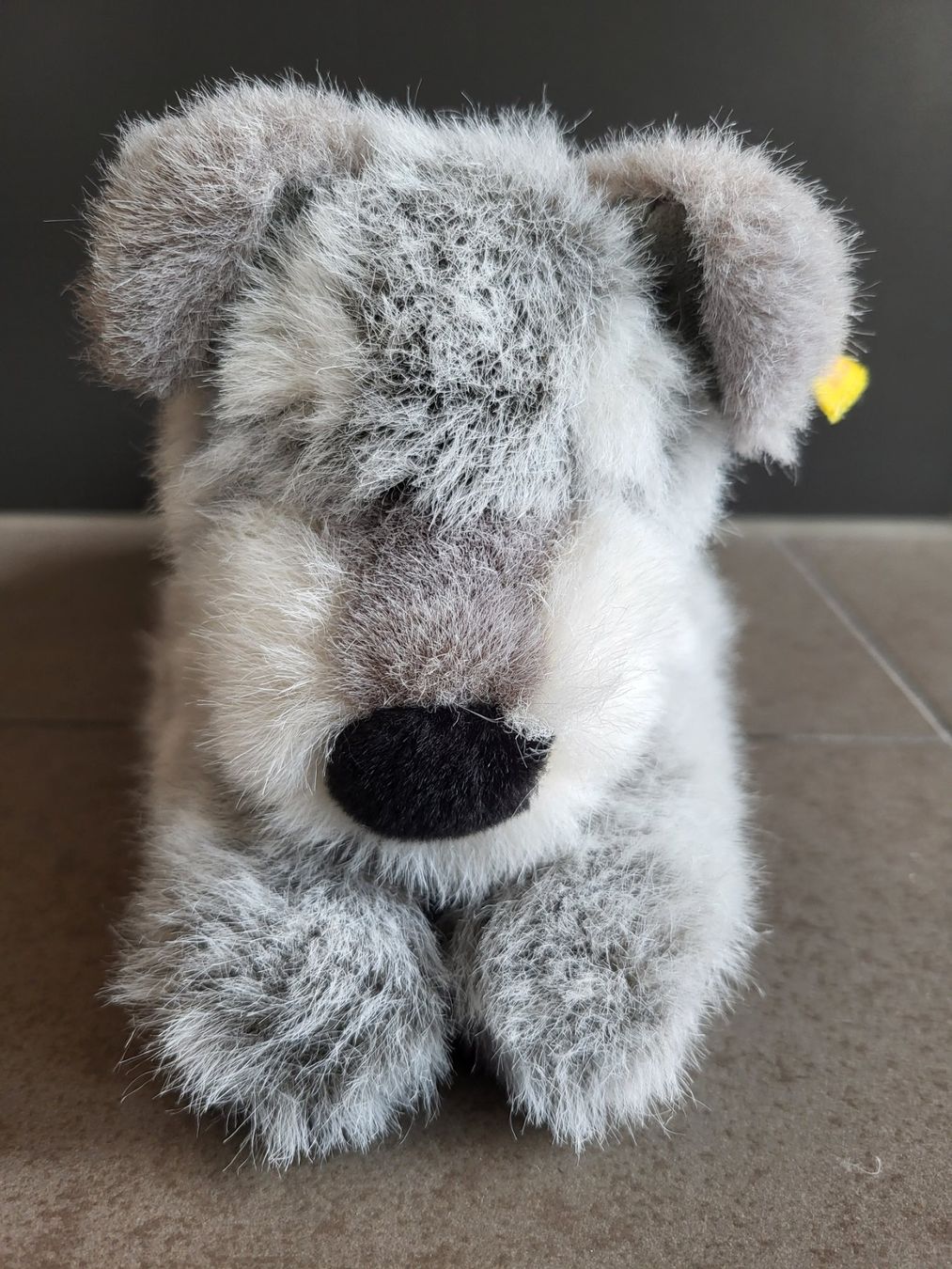 Steiff Giocattoli: Steiff Hund – Nuovo (secondo la descrizione) da Zürich venduto da Orchidee 1