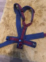 Annyx Sonderfarbe Marine/Bordeaux, Gr. L