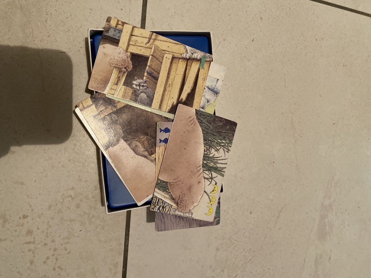 Giochi: Kleiner Eisbär Quartett – Usato da Rupperswil venduto da Lukas_meyer 1