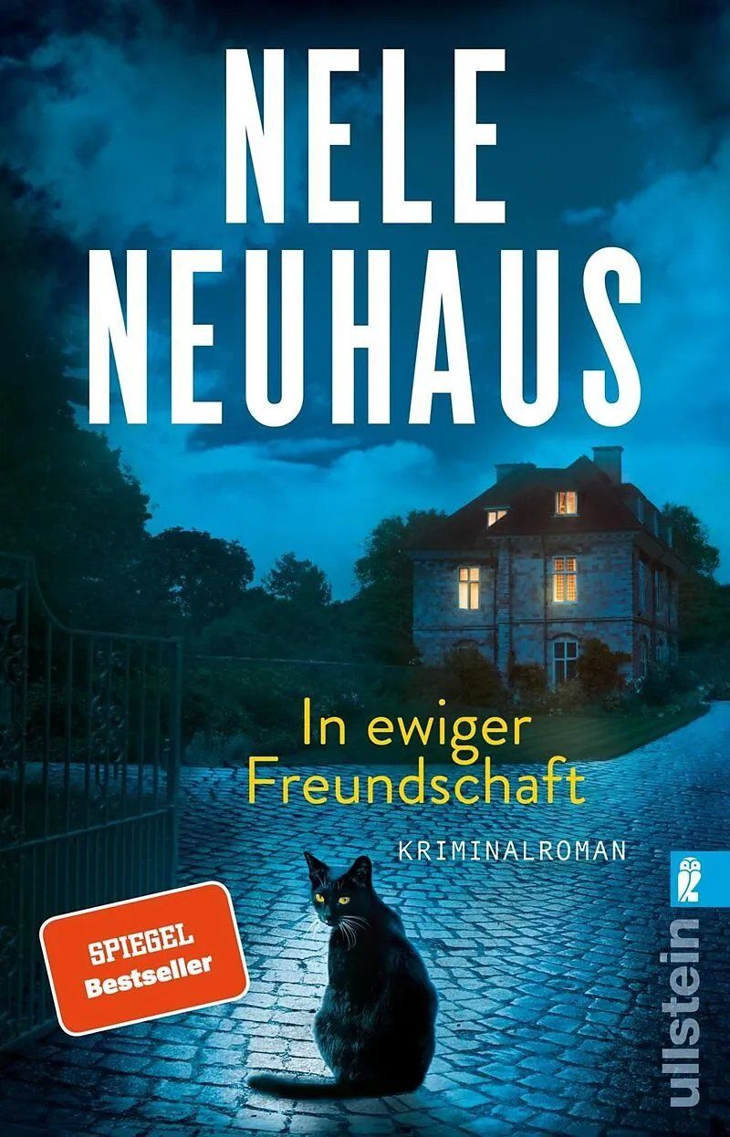 Libri: 10 Krimis/Thriller – Usato da bern venduto da jeannie2006 5