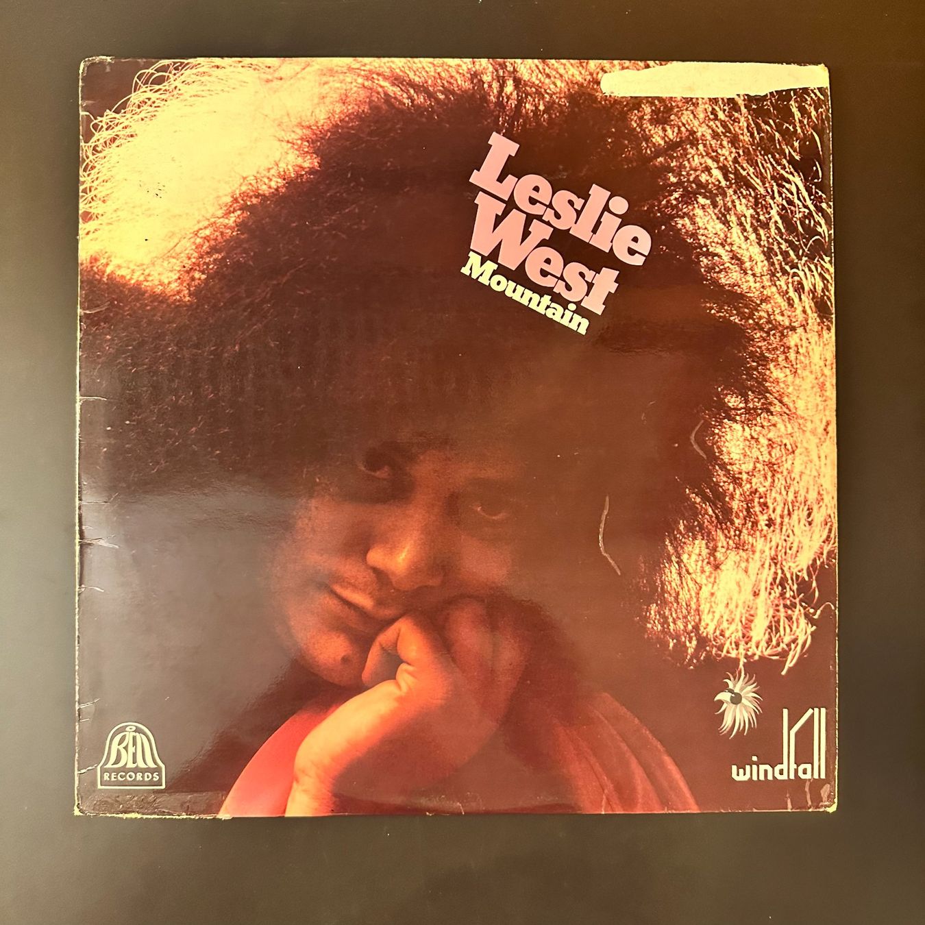 Dischi in vinile: Leslie West – Mountain LP – Usato da Viganello venduto da md__2rd2