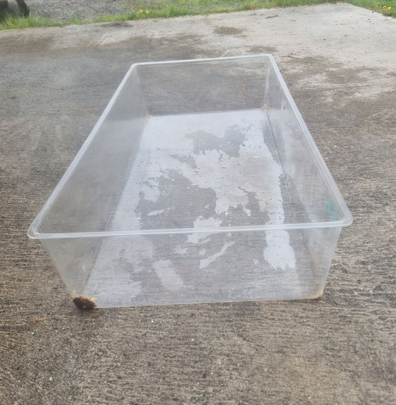 Terrario: Vivarium – Usato da Knonau venduto da yvo_py8l 1