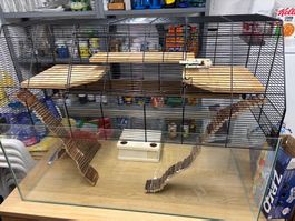 Nagerkäfig Glas mit Gitteraufsatz