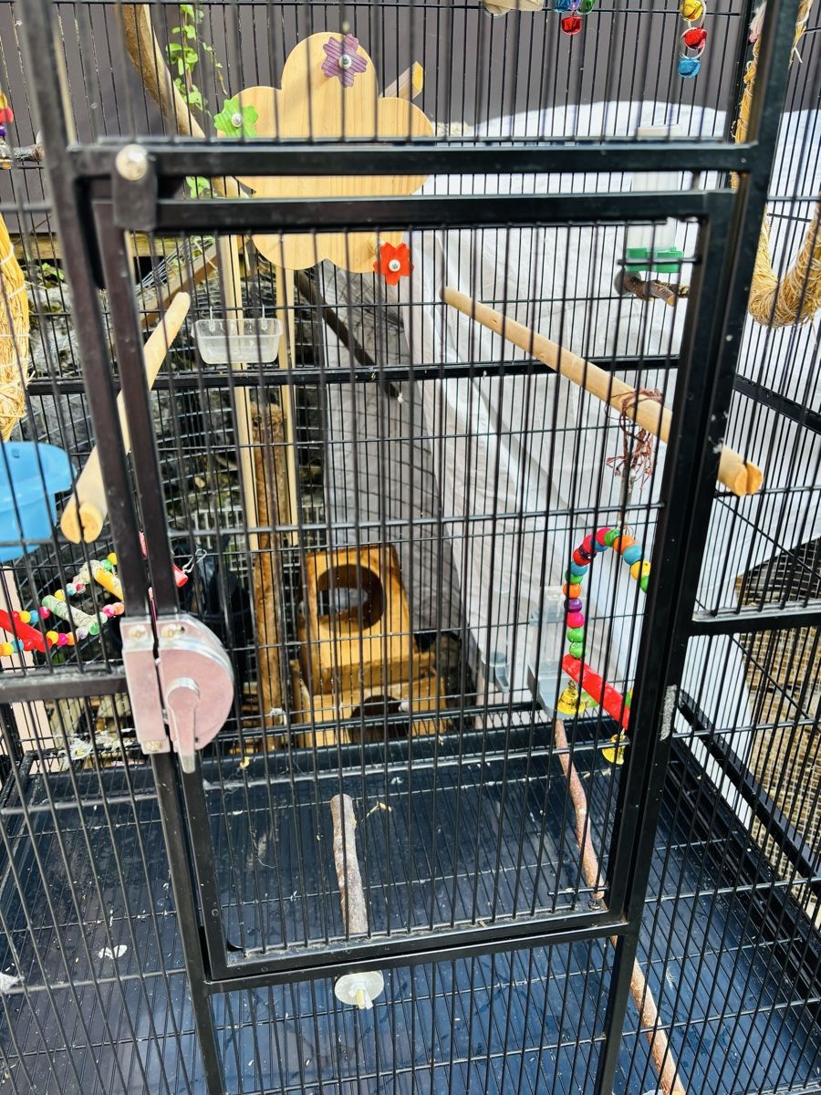 Gabbie, trasporto & Sicurezza: Grande cage oiseaux – Usato da LA HEUTTE venduto da Moonlightwater 2