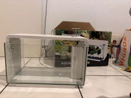 Aquarium set Amazonas 25L LED 5W avec accessoires