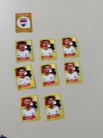 PANINI 9 IRQ Sticker