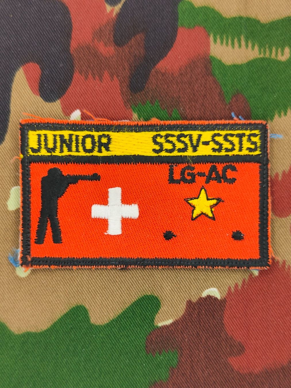 Placchette & Badge: Abzeichen Junior SSSV LG – Usato da Bauma venduto da SwissMilitaria