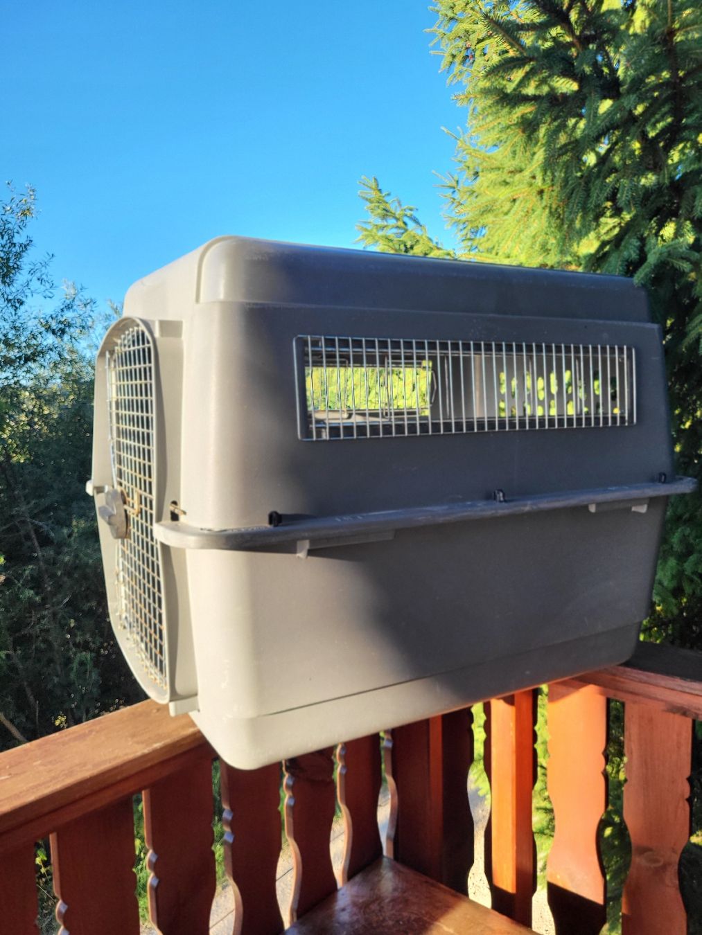 Gabbie, trasporto & Sicurezza: Hundebox  – Usato da Glovelier venduto da Spitzegugger 3