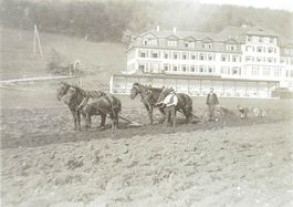 AG - Barmelweid