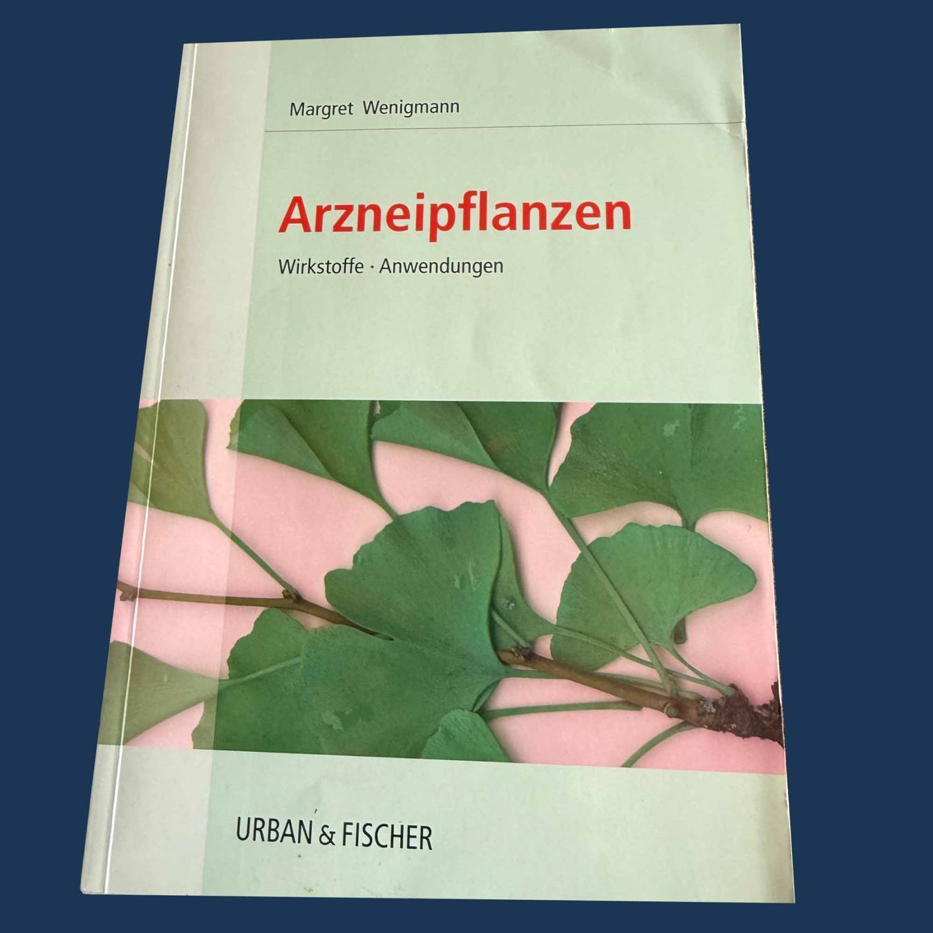 Libri: Heilpraktiker Bibliothek – Usato da Bern venduto da gubaro 4