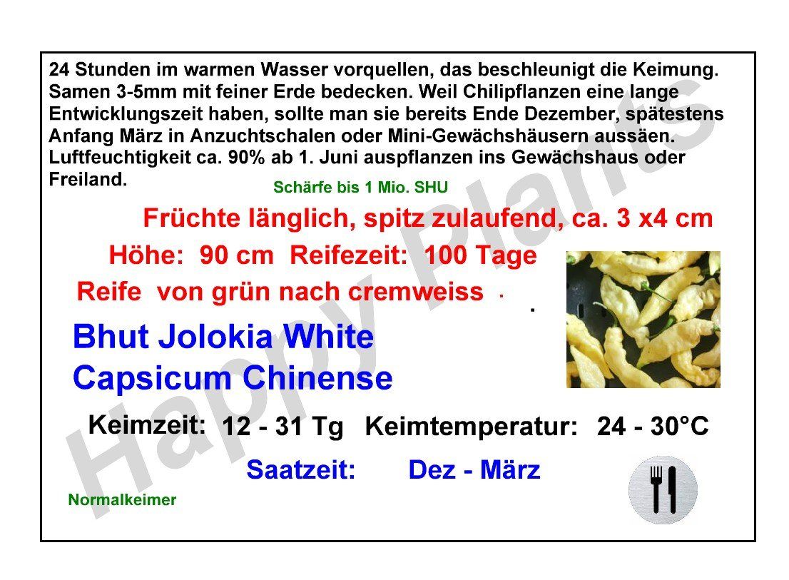 Pflanzen & Samen: Bhut Jolokia White - Capsicum chinense - 10 Samen – Neu und originalverpackt aus Sumiswald von Cham14559 2