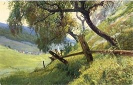 Fetan, Photochromie