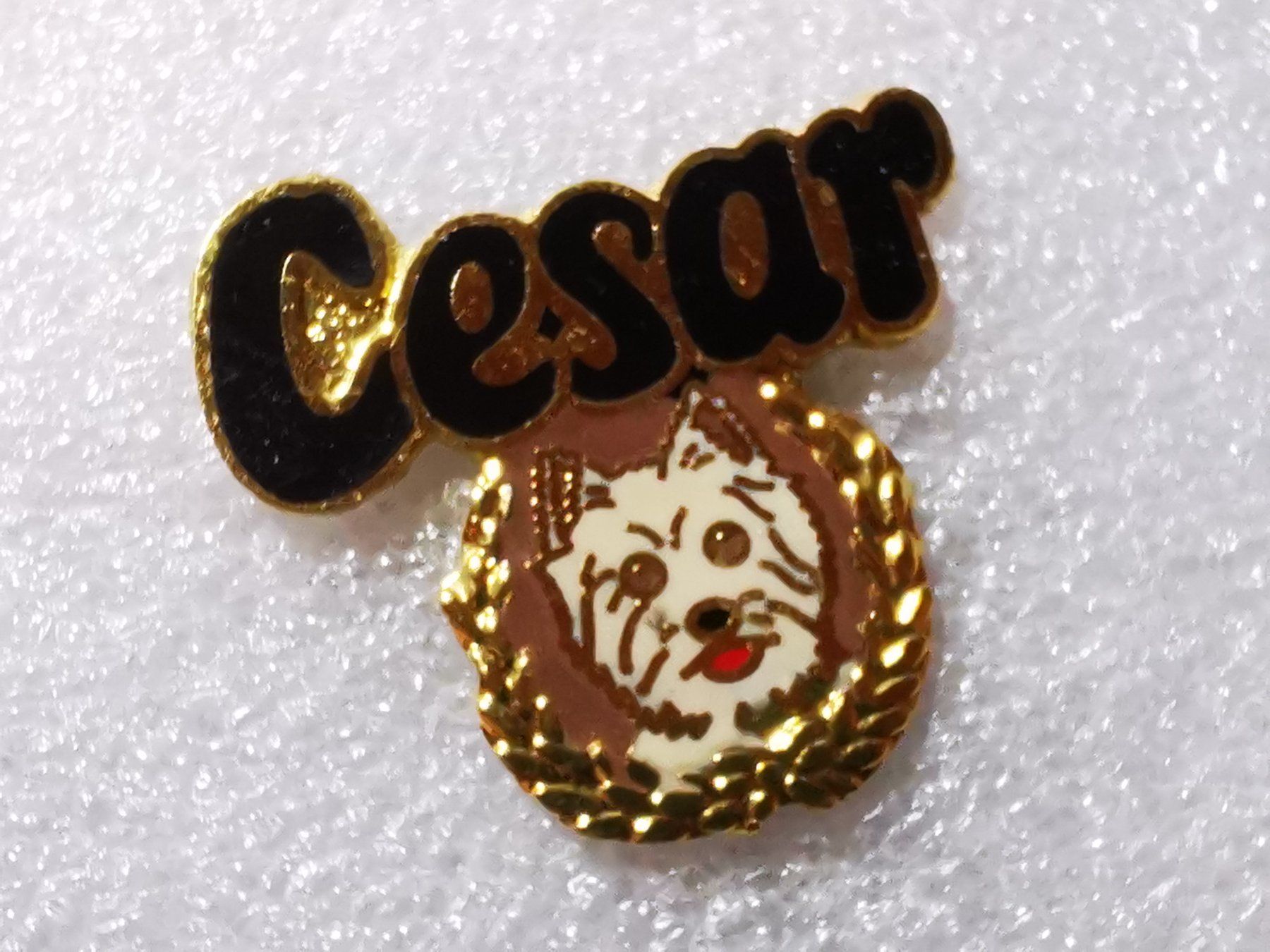 Placchette & Badge: Ansteckpin 135: Cesar – Usato da Oppligen venduto da Pin-Fall-Shop