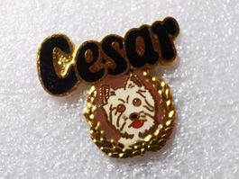 Ansteckpin 135: Cesar