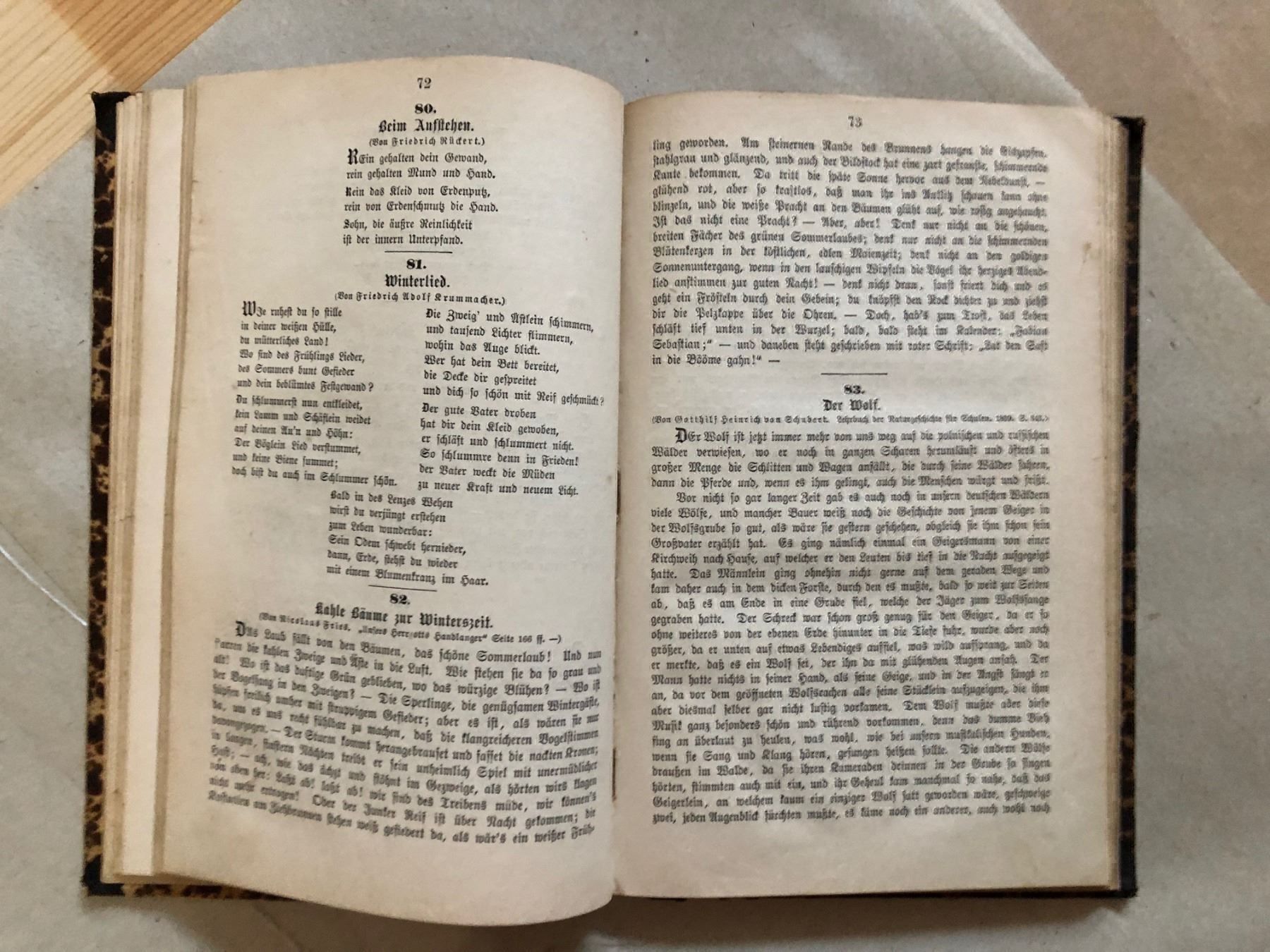 Bücher: Philipp Wackernagel: Deutsches Lesebuch – Gebraucht aus Zürich von allp 5