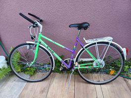 Cilo Vintage Velo