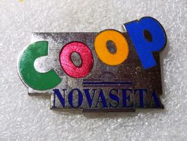 Ansteckpin 88: Coop