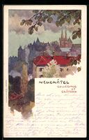 Neuchatel, Collegiale et Chateau, 1899