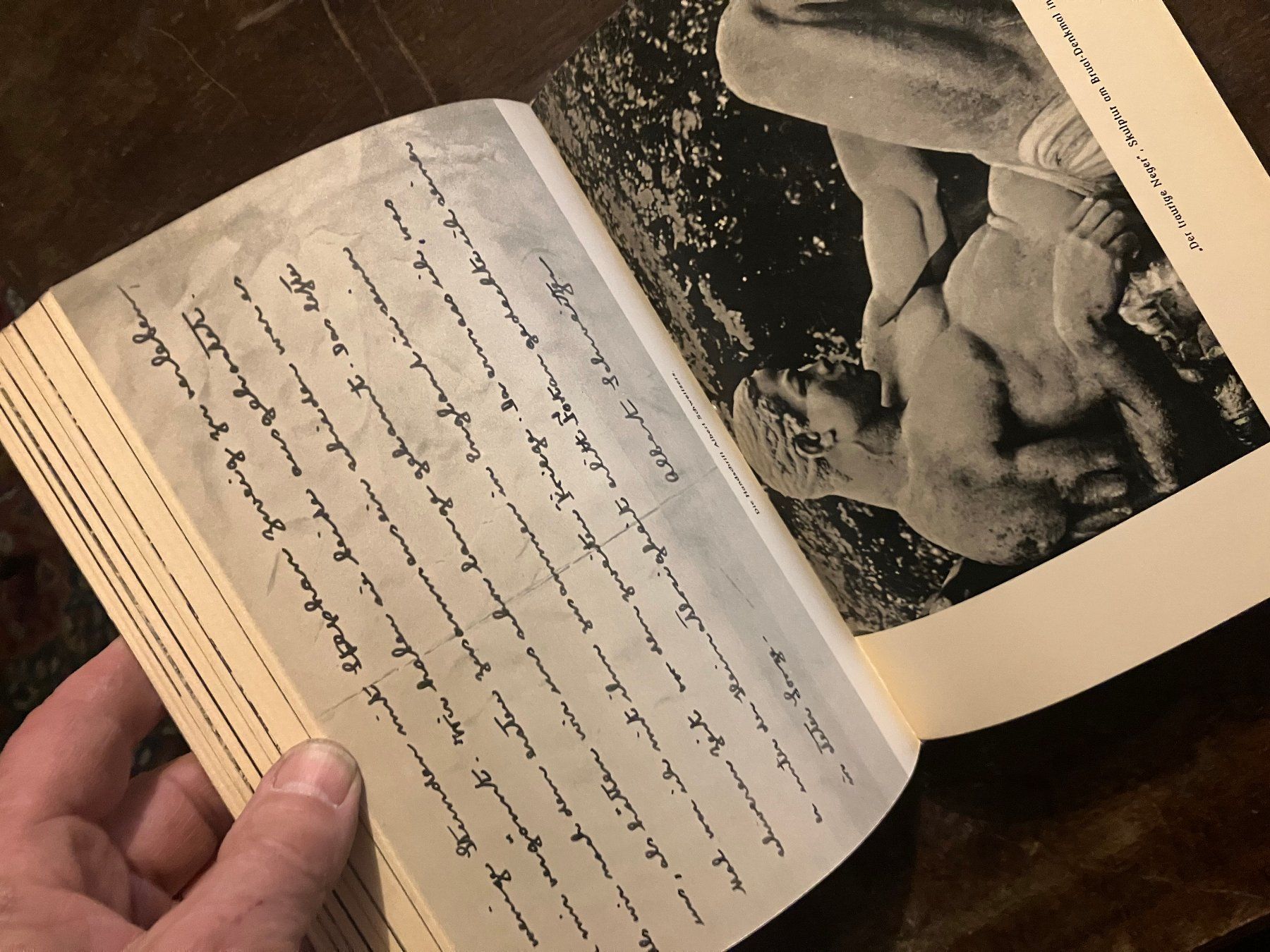 Livres: Albert Schweitzer Lesebuch - – D'occasion à Pfäffikon ZH par Einarrolf 5