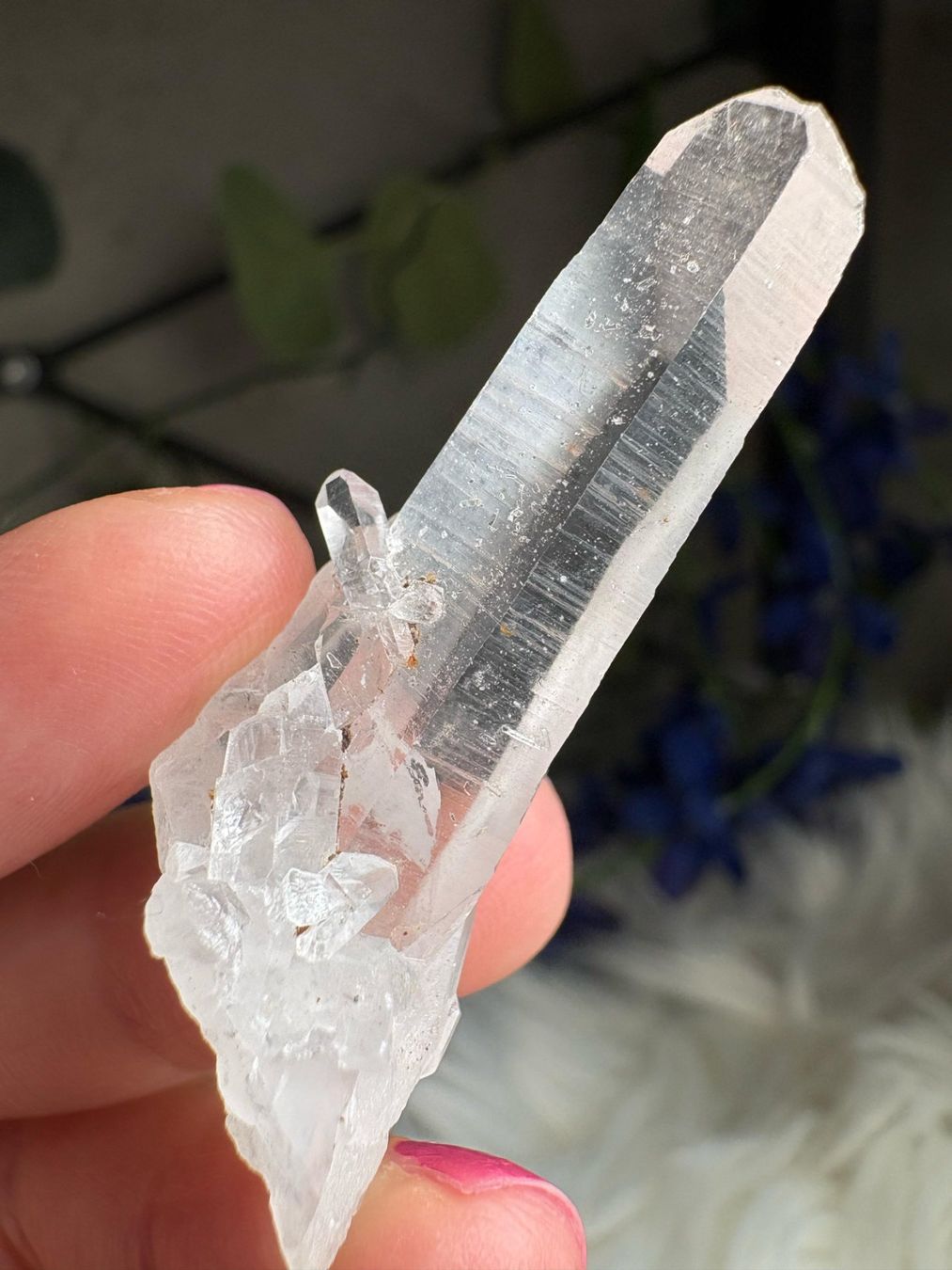 Minerali & Pietre curative: Kolumbianischer Lemurian-Quarz-Cluster – Nuovo (secondo la descrizione) da Neuheim venduto da m.hald 1
