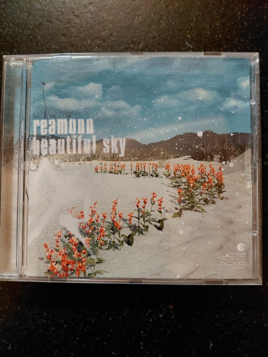 CD: REAMON - 3 CDs – Usato da Bürchen venduto da fmr_v826 1