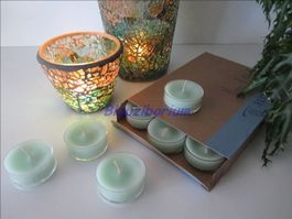 Gurke Ingwer Minze - Concombre Menthe