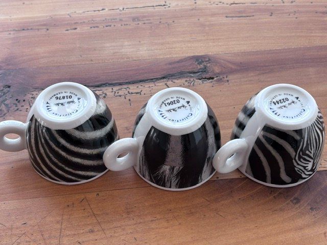 Set di piatti: AMICI COLLECTION Espressotassen Zebra 1997 – Usato da Bern venduto da Delirious 1