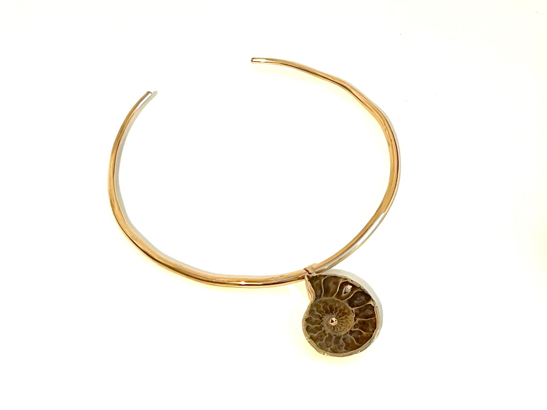 Colliers: Ammonite Fossil Pendant Necklace – Neuf avec emballage d'origine à Rüschlikon par ThereseJewelryDesign 2