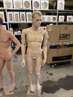 Schaufensterpuppe Mann 180cm Vitrinenfigur Porzellanfigur ne