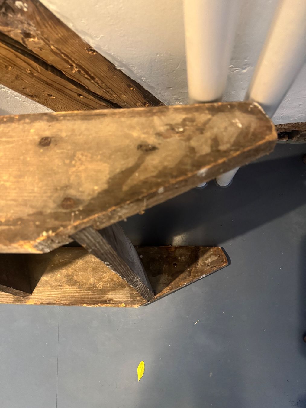 Echelles: Alte, stabile Holzleiter – D'occasion à Horgenberg par pagi_11 6