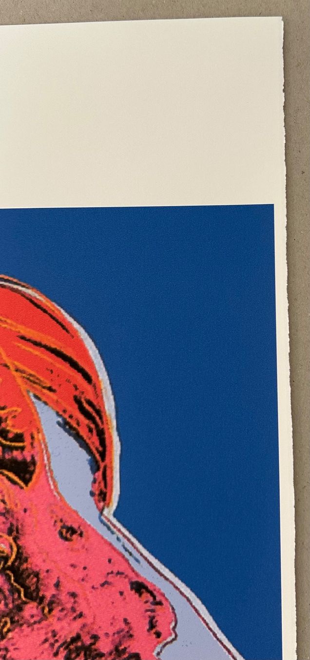 Foto & Immagini: Andy Warhol: Big Horn, POP Art 49/100 – Nuovo (secondo la descrizione) da Meilen venduto da Smgdesign 4