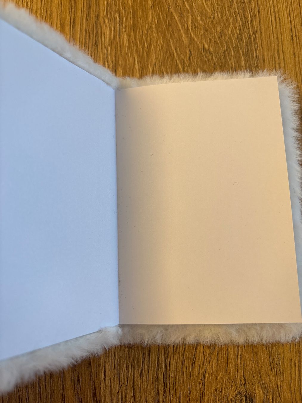 Blocchi: Hello Kitty Notizbuch – Nuovo (secondo la descrizione) da Bülach venduto da ter_6jf8 2