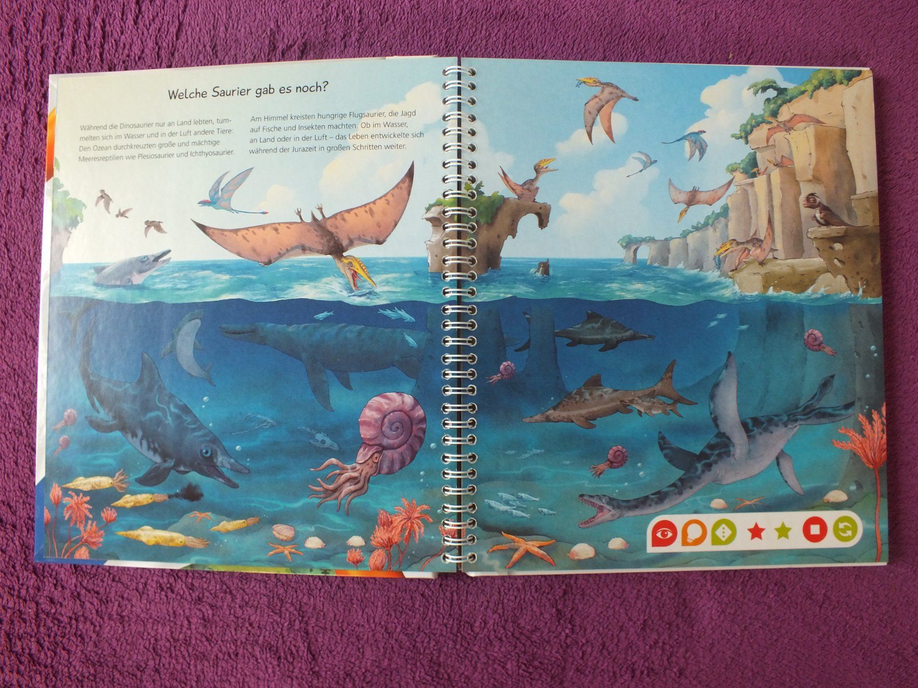 Bücher: tiptoi Buch - Wir entdecken die Dinosaurier – Gebraucht aus Müllheim Dorf von Seeeule01 3